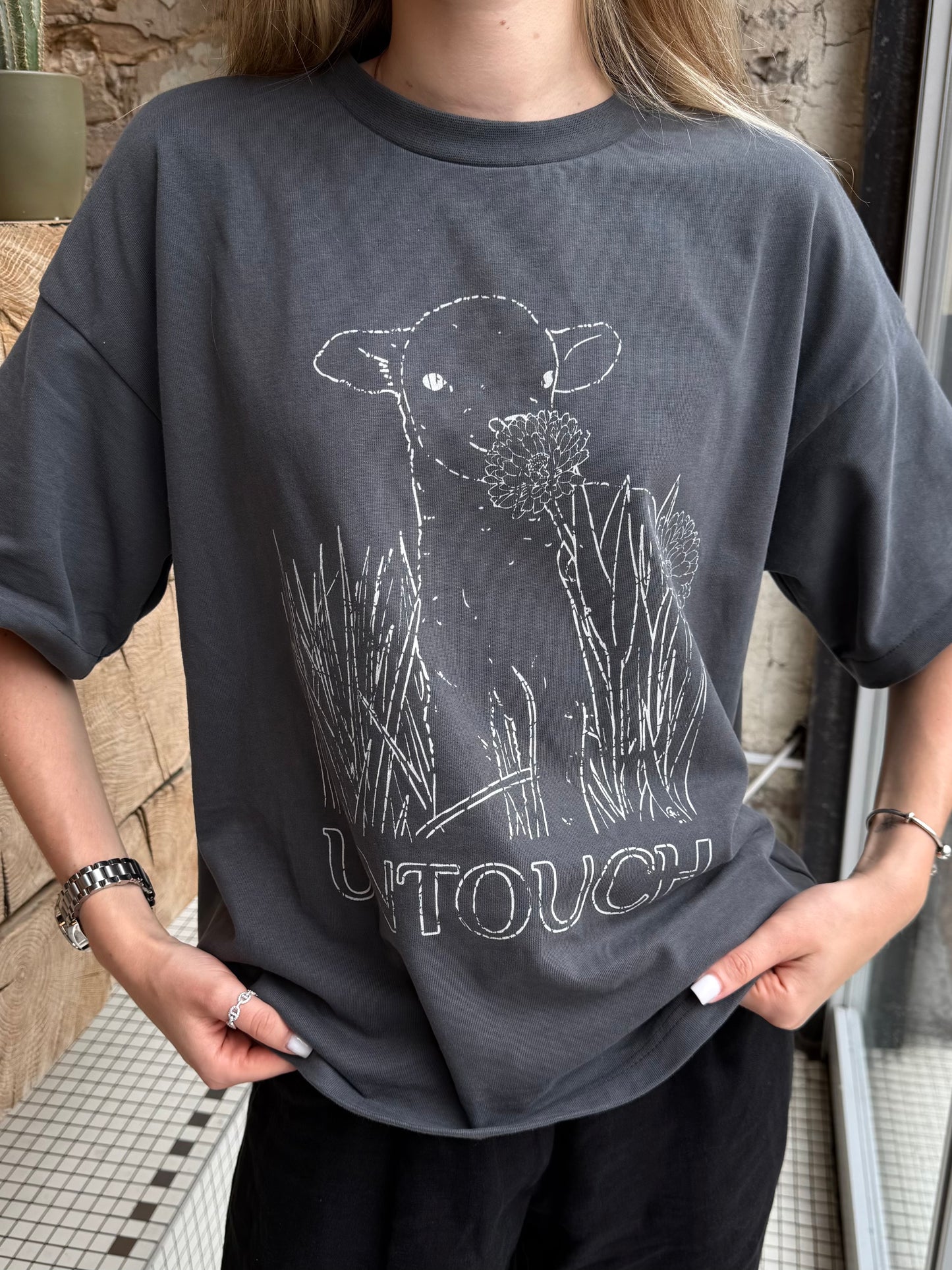 Футболка Sheep сіра